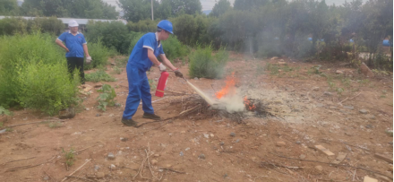 1657246923112275.png image.png